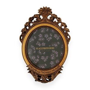 Taylor Swift Speak Now Picture Frame